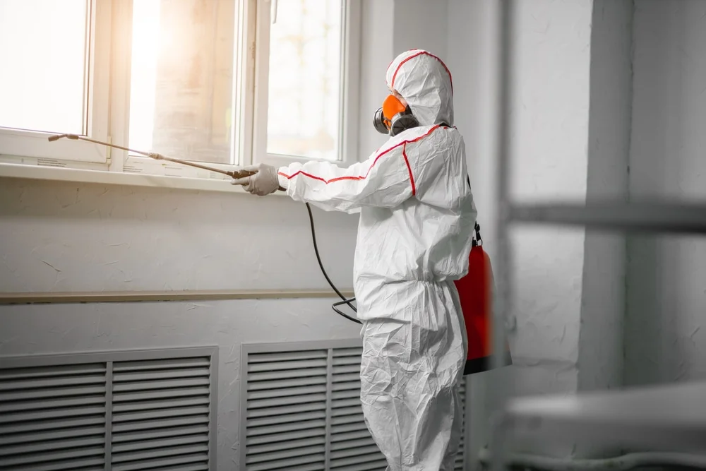 Professional mold remediation services in Coral, MI